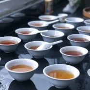 双井绿茶的泡法及功效