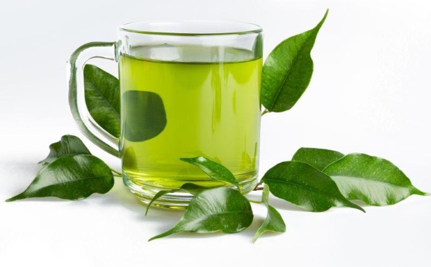庐山云雾茶7.jpg