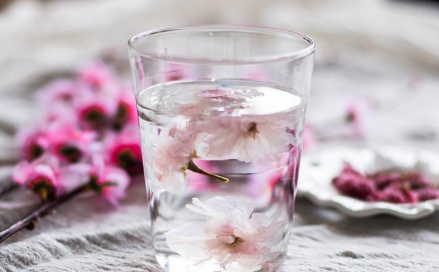 桃花茶的功效与作用