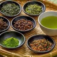 平水珠茶是几月份