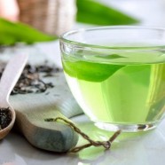 麻姑茶的饮用禁忌
