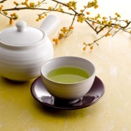 绿春玛玉茶简介