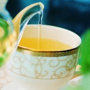 金奖惠明茶属于什么茶