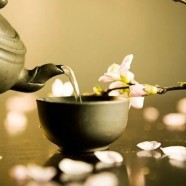 什么是建德苞茶