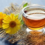 孕妇可以喝茉莉花茶吗