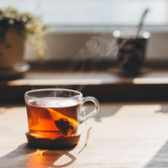 老树生普洱茶的价格