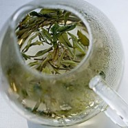 涌溪火青是绿茶还是红茶