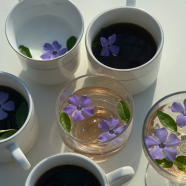 桃花茶和什么搭配喝好