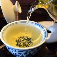 安吉白茶的九大功效