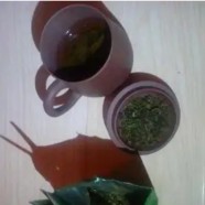 太平猴魁好喝吗