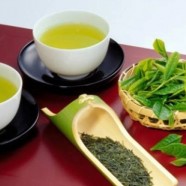 双井绿茶的品饮与赏鉴