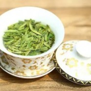 上饶白眉特点