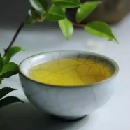 麻姑茶的知识介绍
