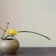 狗牯脑茶营养价值