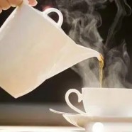江山绿牡丹茶多少钱一斤