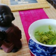 恩施玉露口感