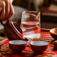 安吉白片和白茶哪个贵