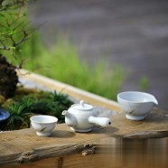 碧螺春泡多久