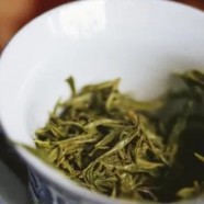 信阳毛尖怎么辨别好坏