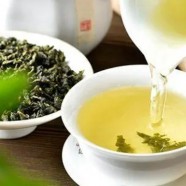 仙人掌泡茶的正确泡法