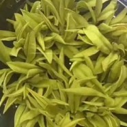 午子仙毫是什么茶