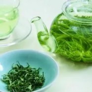 桐庐天尊贡芽简介
