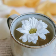 白牡丹茶多少钱一斤