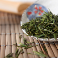 宁波白茶