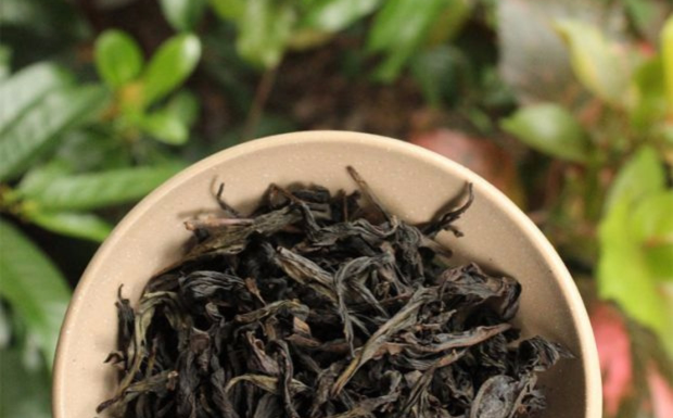 老枞水仙茶价格是多少