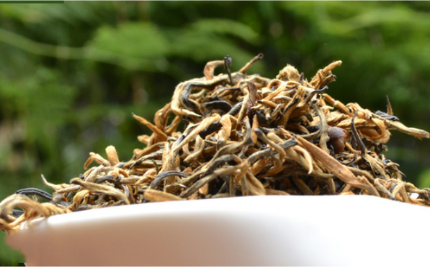云南红茶创制于哪个朝代