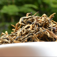云南红茶创制于哪个朝代
