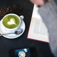 绿春玛玉茶的主要品种