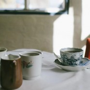 建德苞茶有何价值