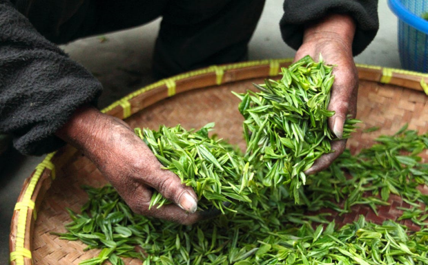 铁罗汉茶的由来.png 铁罗汉茶的由来.png