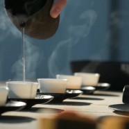 安吉白茶口感描述