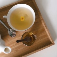 仙人掌茶属于什么茶