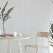 桐庐天尊贡芽属于什么茶