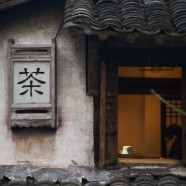 蒙顶山茶是什么茶