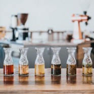 鸠坑毛尖什么时候喝最好