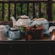 狗牯脑茶品鉴