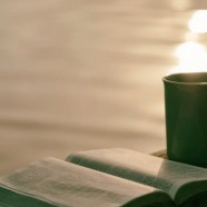桂东玲珑茶怎么泡