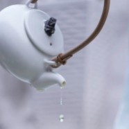 碧螺春需要洗茶吗
