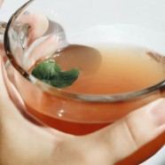 南京雨花茶是什么茶
