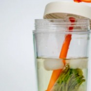 盘点仙人掌茶的八大功效