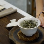 细细品尝桐城小花的口感