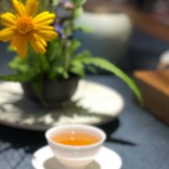太平猴魁是红茶还是绿茶