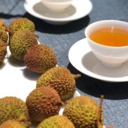 建德苞茶的泡法