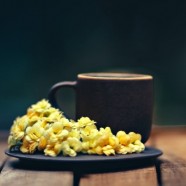 安吉白片怎么泡了喝
