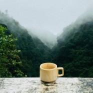 大佛龙井是绿茶吗