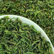 苦丁茶减肥方法有用吗